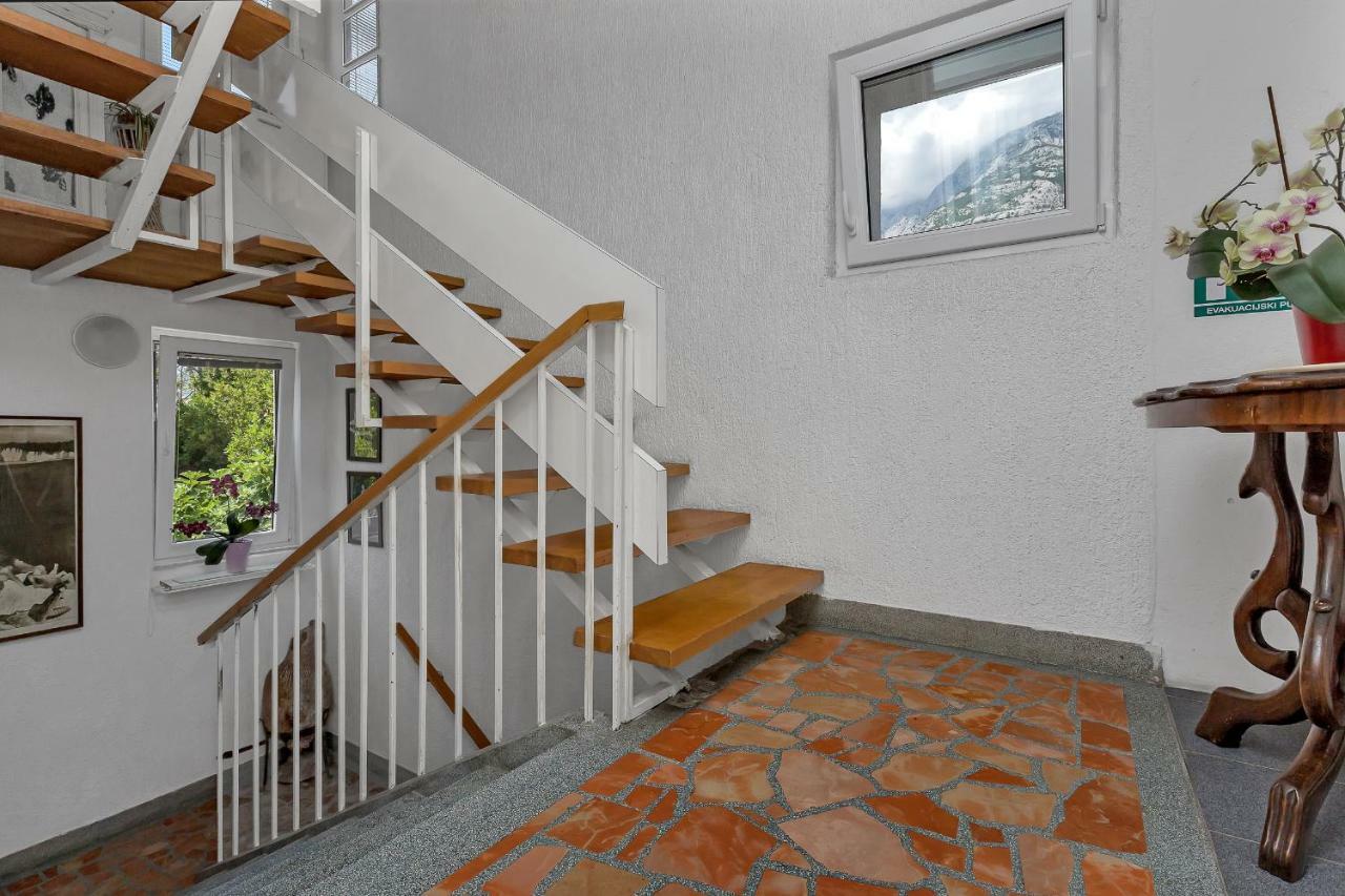 Apartman Mediteraneo *